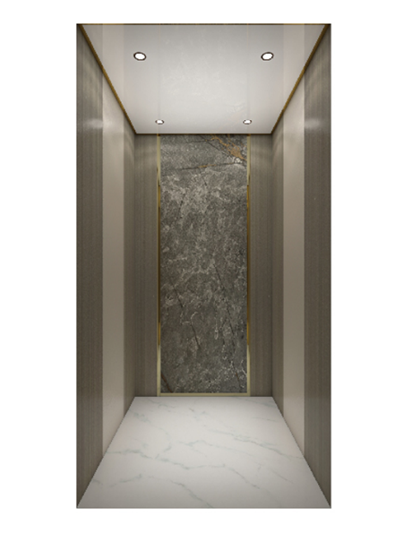 Decoración de cabina de ascensor de lujo para el hogar SX-JX013 (opcional)