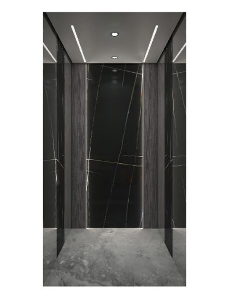 Decoración de cabina de ascensor Economy Home SX-JX015 (Opcional)